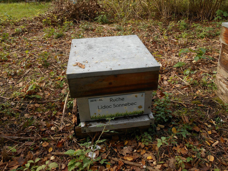 La ruche Lidoc Sonnebec